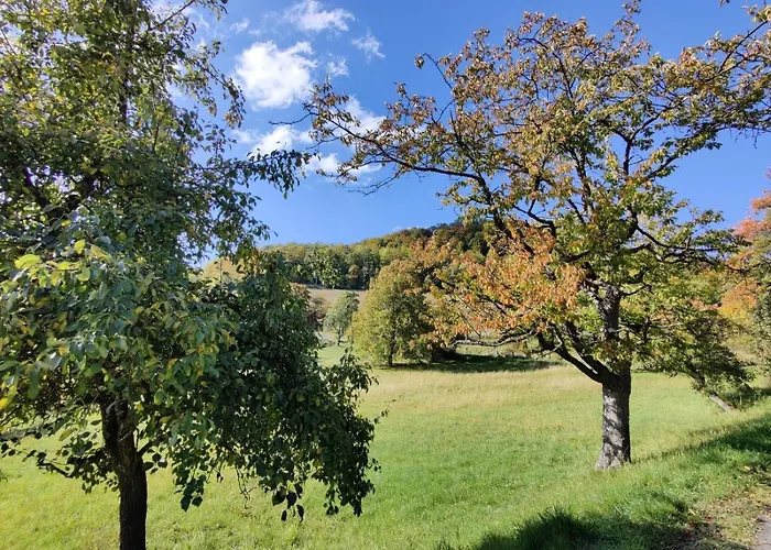 度假居 Gemuetliches Fachwerkhaus Hessen Thueringen *