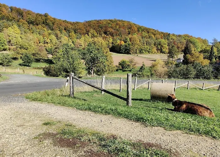 Gemuetliches Fachwerkhaus Hessen Thueringen *